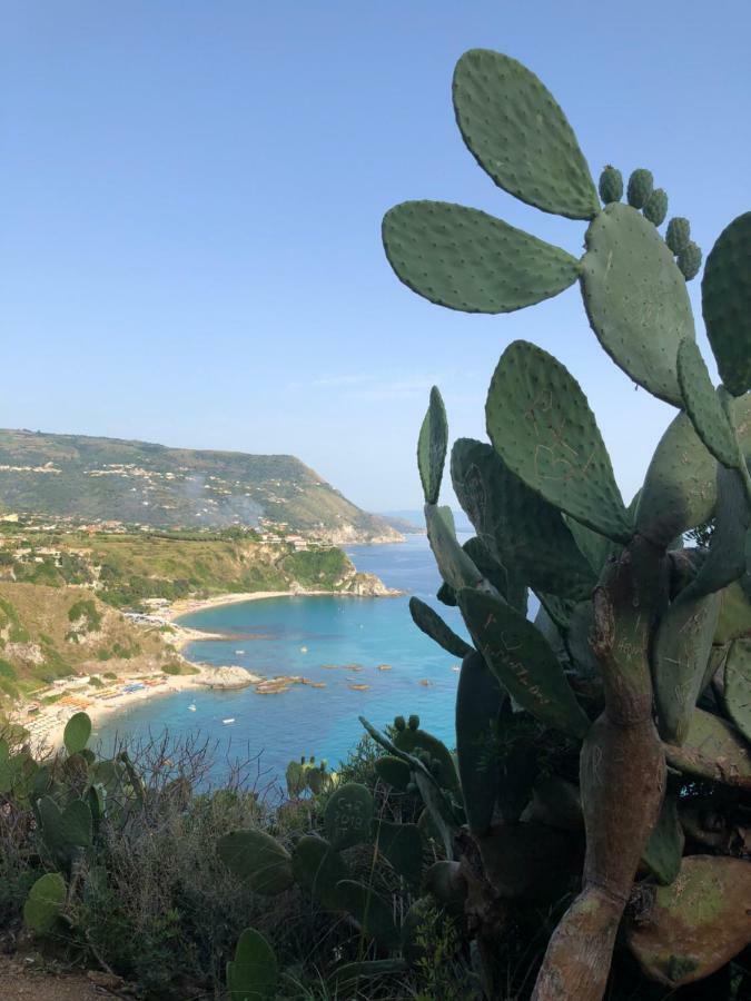 La Marinette Apartman Tropea Kültér fotó